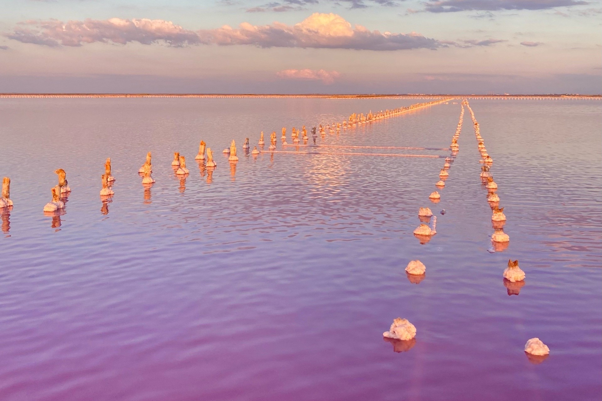 розовое озеро сасык-сиваш